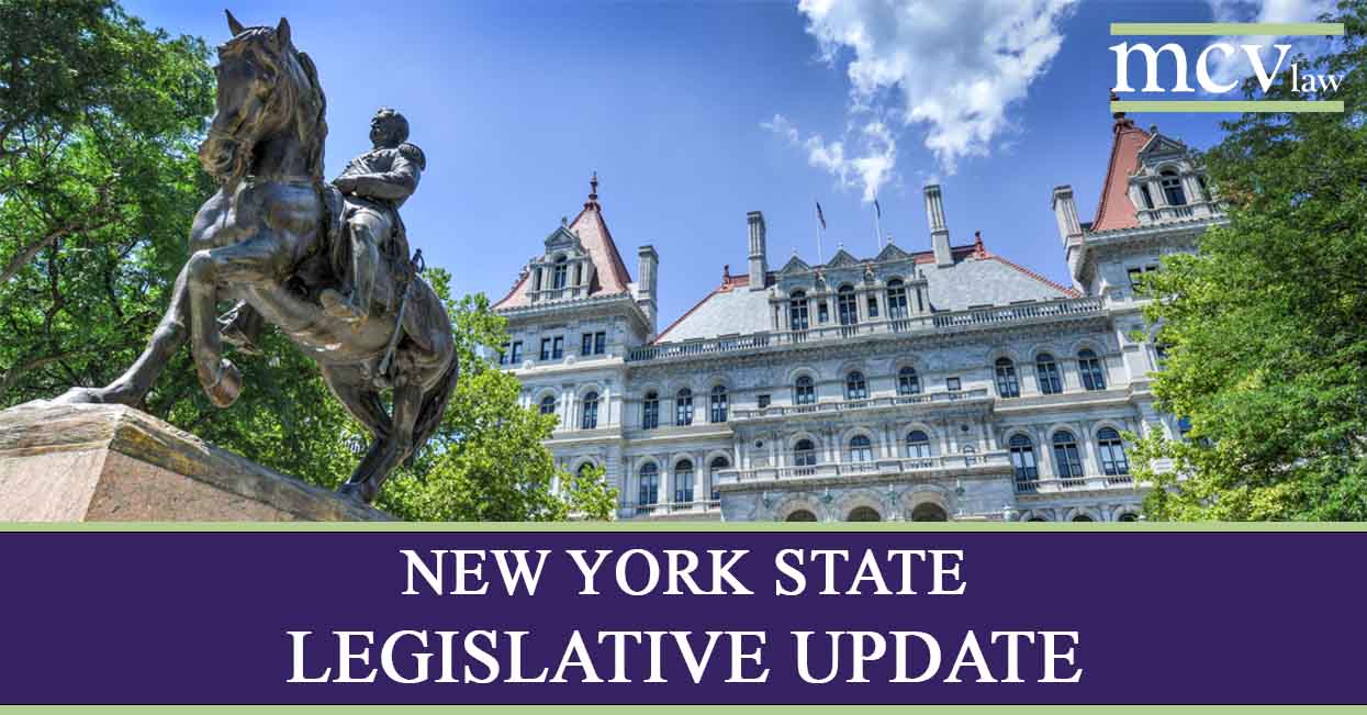 New York State Legislative Building