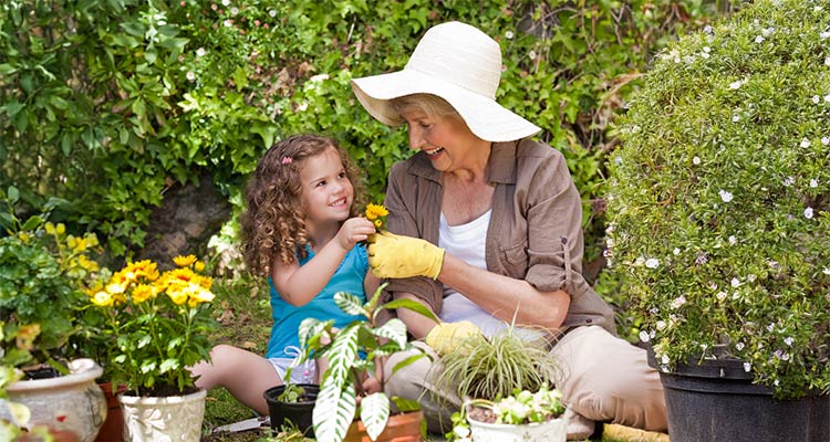 estate lawyers near syracuse ny grandma and granddaughter gardening together
